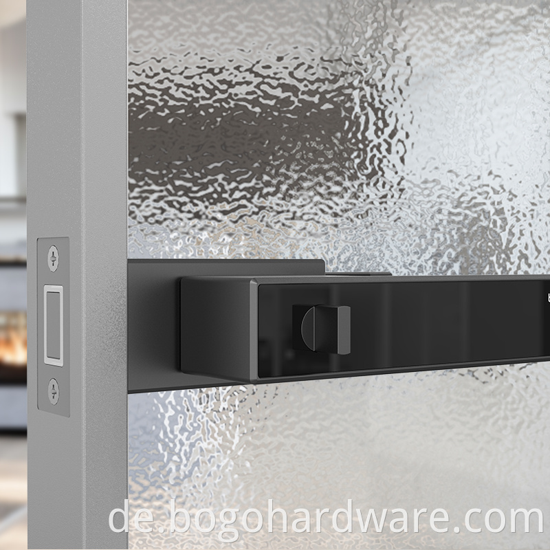 Brushed Glass Door Handle